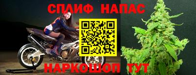 молекула духа Заволжье