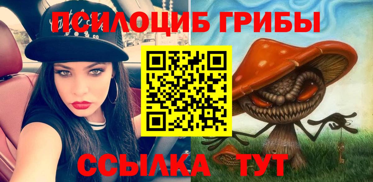 Псилоцибиновые грибы GOLDEN TEACHER Мелеуз